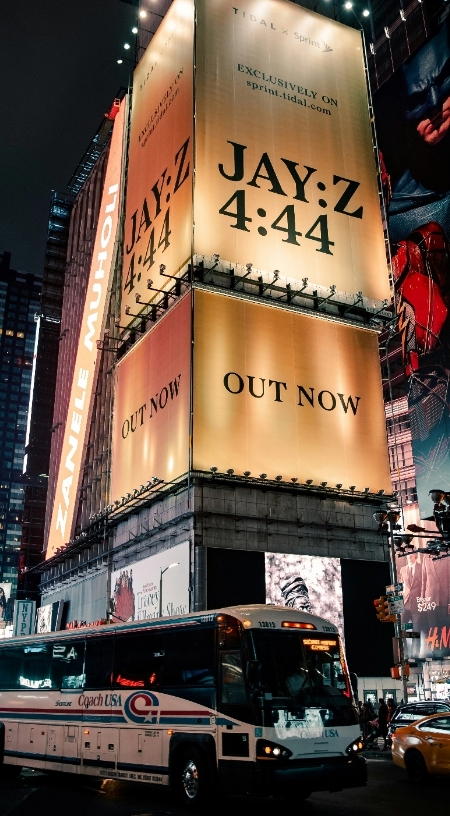 Care Management Auditor